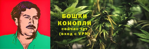 стафф Богородицк