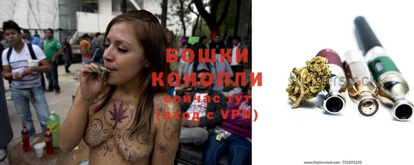 стафф Богородицк