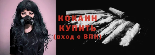 стафф Богородицк