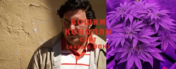 мяу мяу мука Бородино