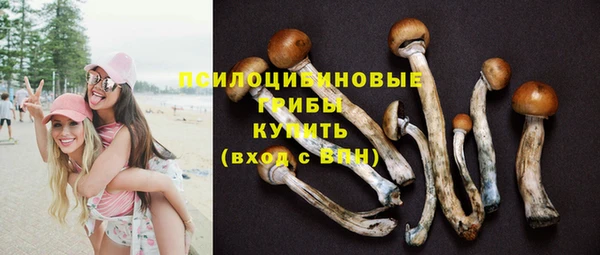 прущие крисы Бронницы