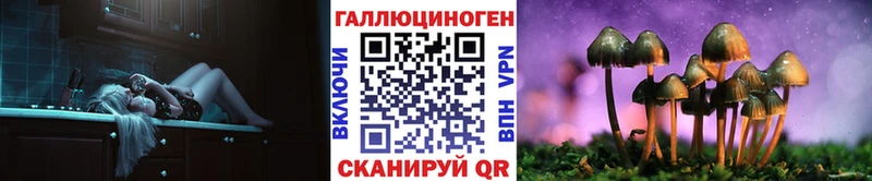 Галлюциногенные грибы Cubensis  Давлеканово 